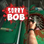 Play Game Sorry Bob now !